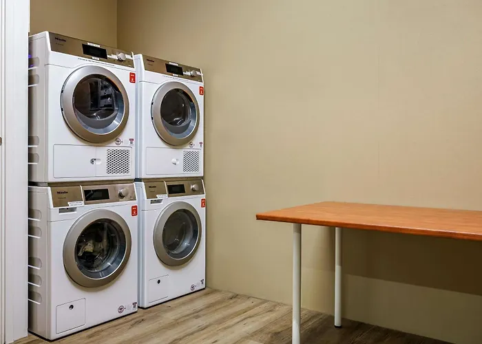 酒店 阿姆斯特丹斯劳特戴克站美居酒店 4*